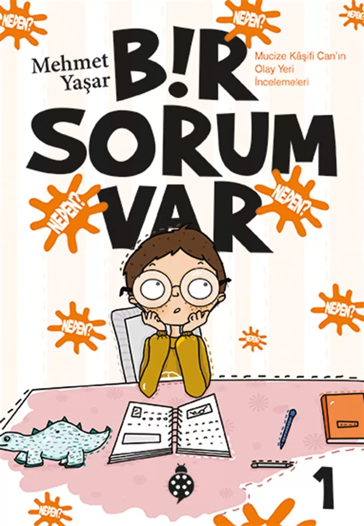 Bir Sorum Var -1 Neden?