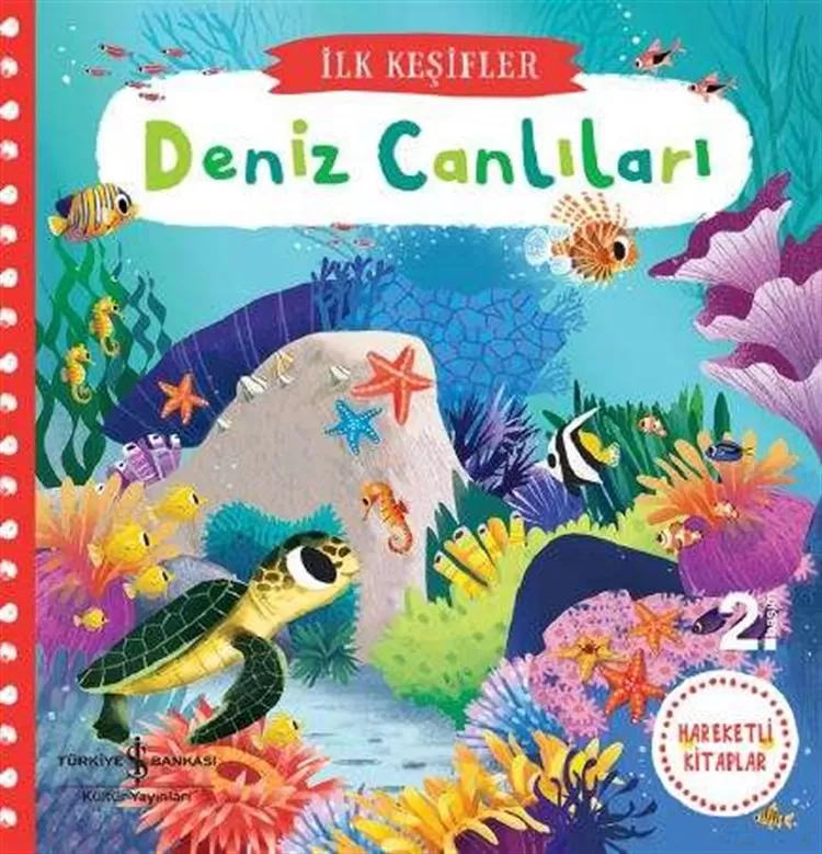 Hareketli Deniz Canlıları