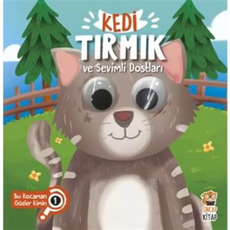 Kedi Tırmık ve Sevimli Dostları