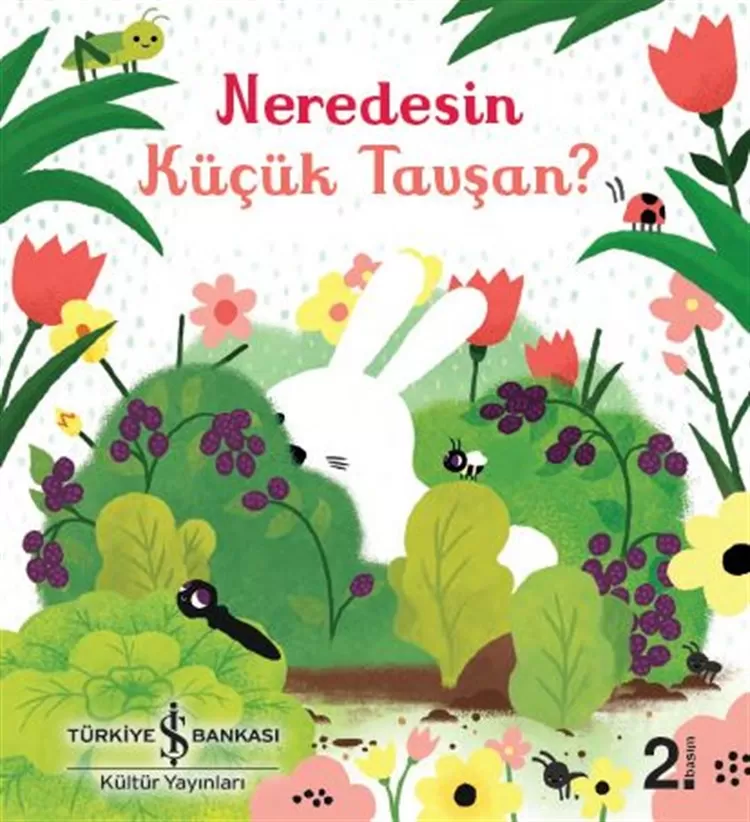 Neredesin Küçük Tavşan?