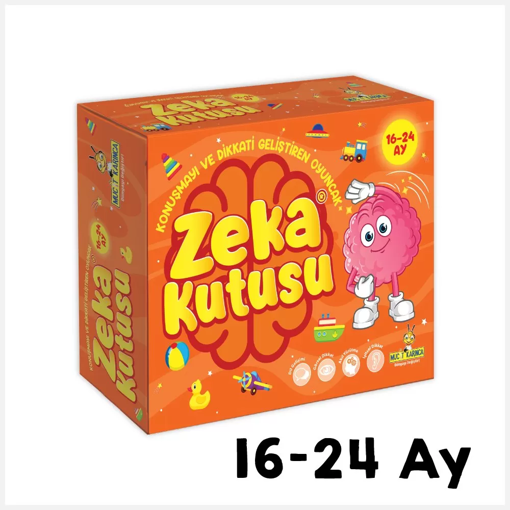 Zeka Kutusu 16-24 Ay